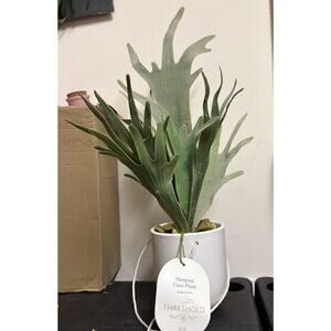 Threshold Hanging Faux Staghorn Fern in White Pot – 12" – Indoor Decor – New